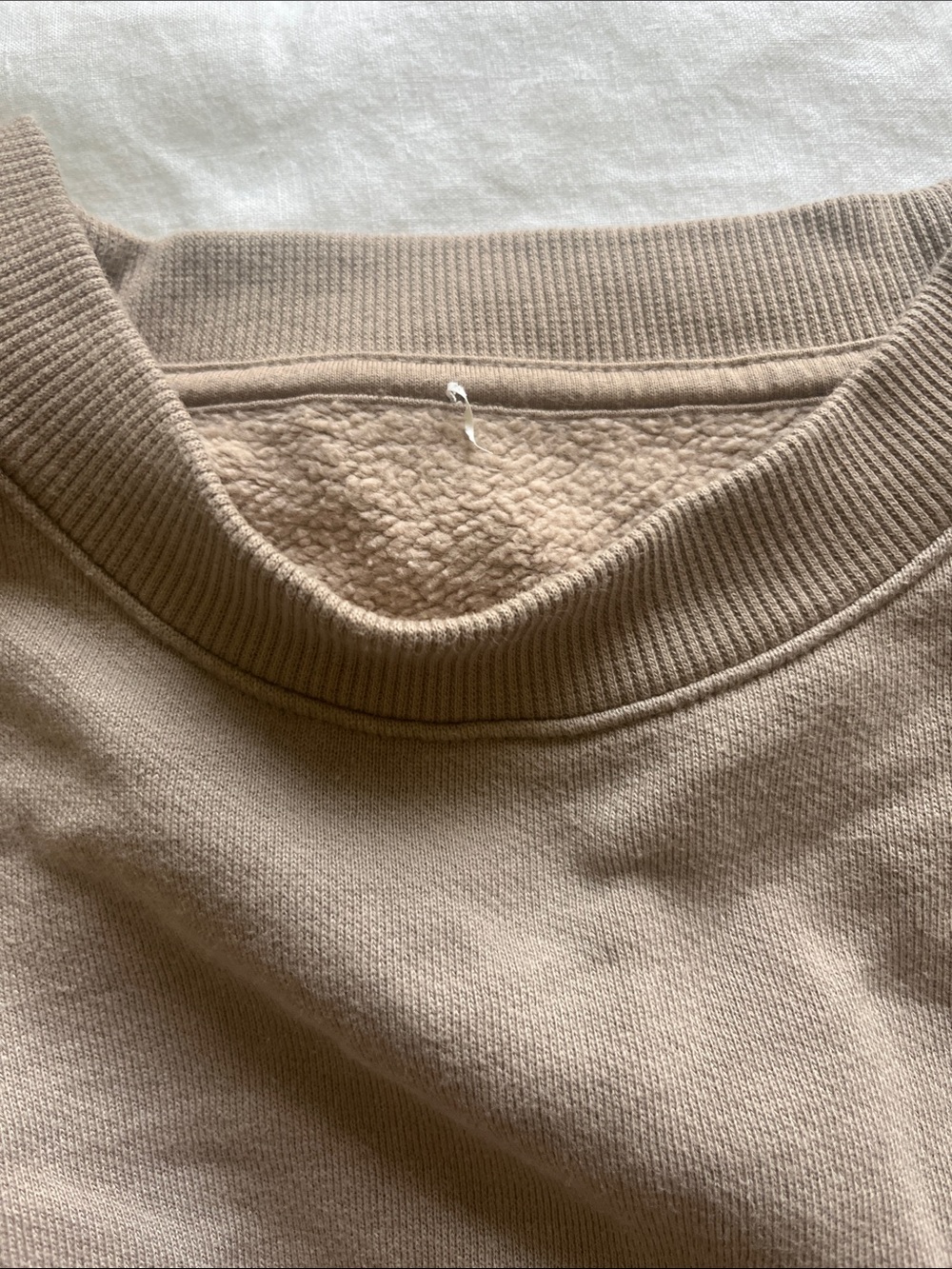 ALO Yoga Crewneck Sweatshirt in Light Taupe - Picture 2 of 3